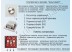 Wall Mounted RGB/Multi White/White контроллер 12A 144Вт 12В (Panel)